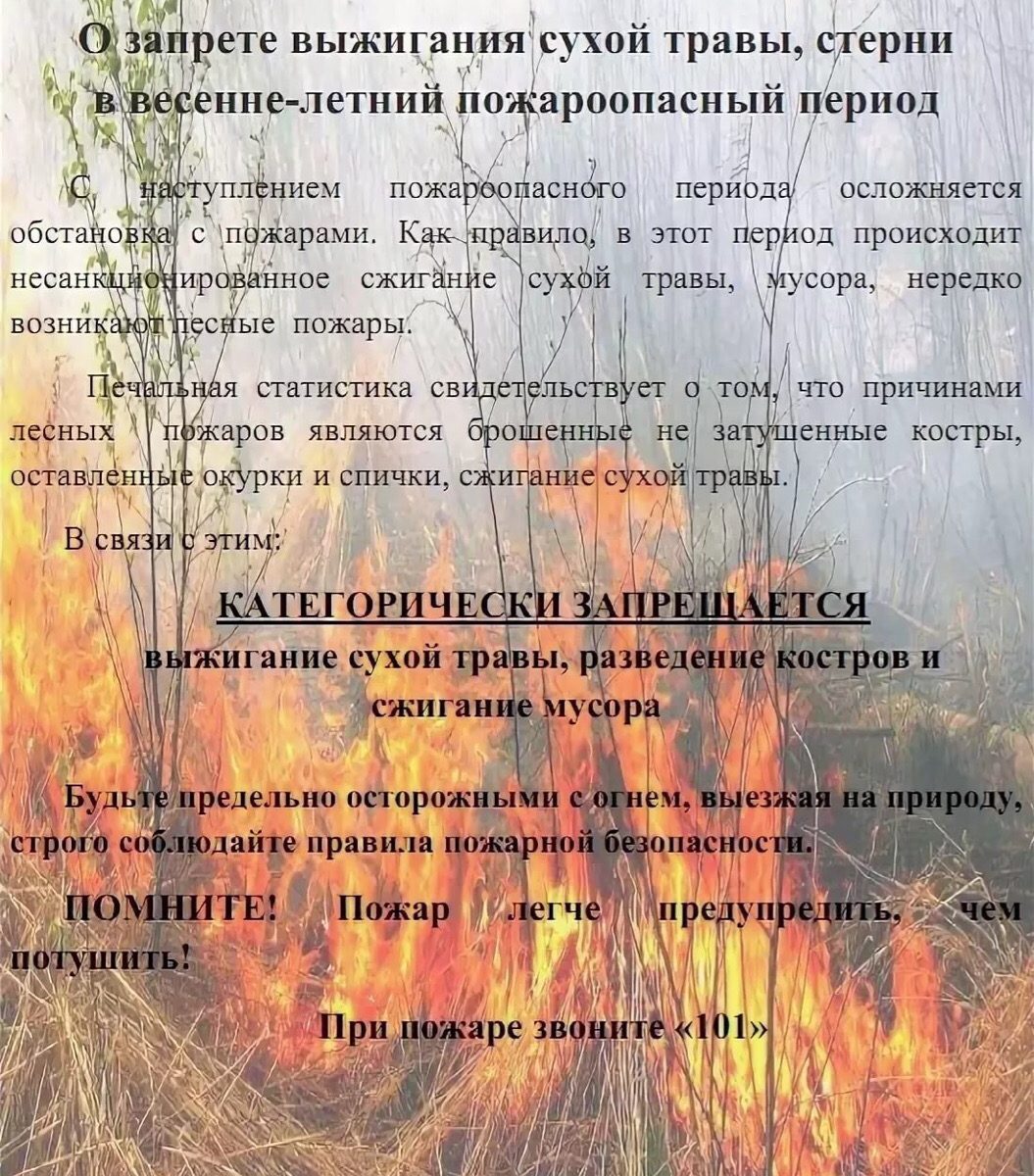 https://serad.ru/images/doc2022/edds/pamyatka-25082022-1.jpg